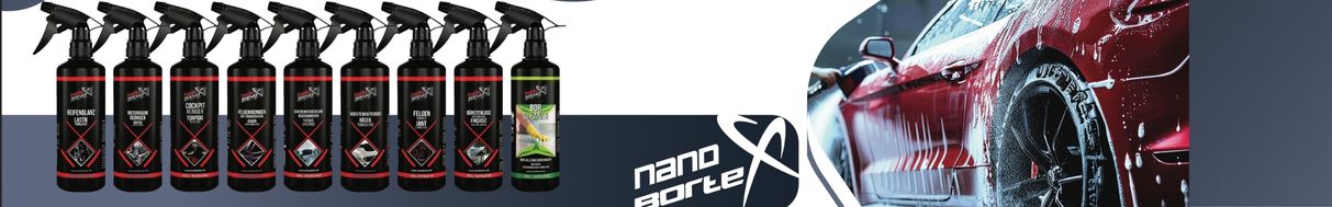 Nanoborix Third Interstitial Banner